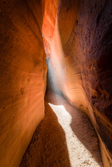 A Hike Through a Passage in Peekaboo Slot Canyon in Southwestern USA with a Sunbeam Illuminating Navajo Sandstone 
