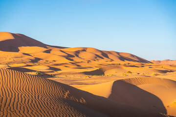A view of desert dunes in the Sahara desert, Morocco