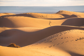 Fototapeta na wymiar A view of desert dunes in the Sahara desert, Morocco