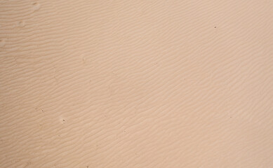 Fototapeta na wymiar sand on the beach texture, abstract natural background.