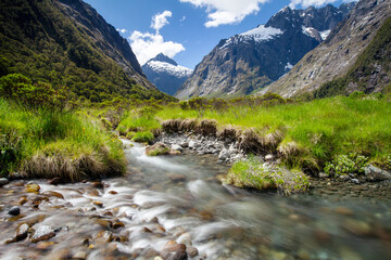 A small river in Monkey Creek surrounded by mountains in Milford Sound of New Zealand