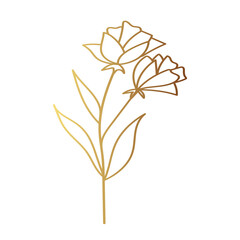 Gold flower line art 