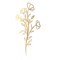 Fototapeta premium Gold flower line art 