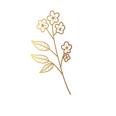 Gold flower line art 