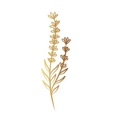 Gold flower line art 