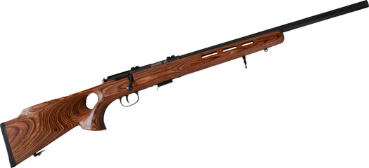 Thumbhole stock on a bolt action rimfire rifle