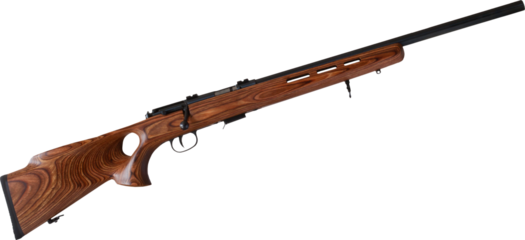 Thumbhole stock on a bolt action rimfire rifle