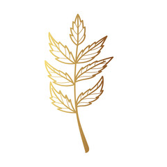 Gold leaf illustration 