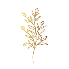 Gold flower line art 