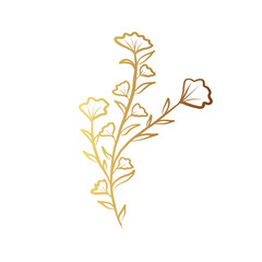 Fototapeta na wymiar Gold flower line art 
