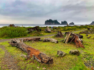 ruins of an abandoned house