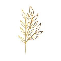 Gold flower line art 