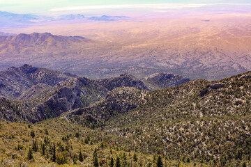landscape in the morning