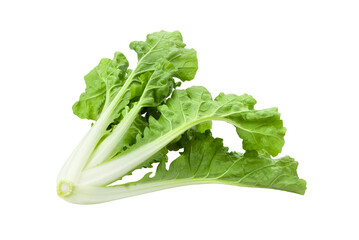 lettuce isolated on transparent png