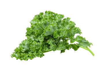 Kale leaf salad vegetable isolated on transparent png