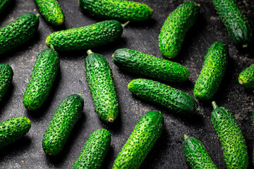 Ripe little cucumbers on the table. 