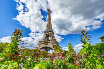 Eiffel Tower seen from the park in Paris. France