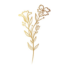 Gold flower line art 