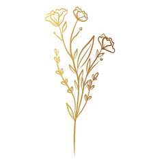 Gold flower line art 