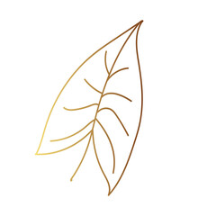 Gold leaf illustration 