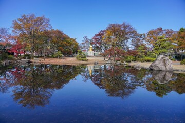 青空バックに見る秋の日本庭園の情景＠福井
