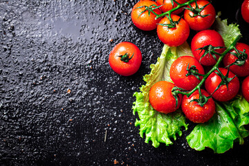 Ripe tomatoes on a branch on a lettuce leaf. 