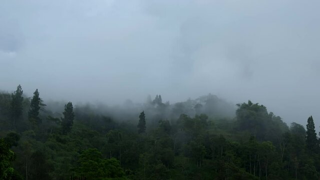 Time lapse of the movement of fog above the highway that crosses the forest on the northern slope of Mount Merapi, Central Java