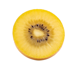 kiwi gold isolated on  transparent png