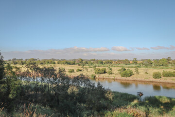 Fototapeta na wymiar landscape with werribee river and plains in morning light
