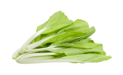 lettuce leaves isolated on  transparent png