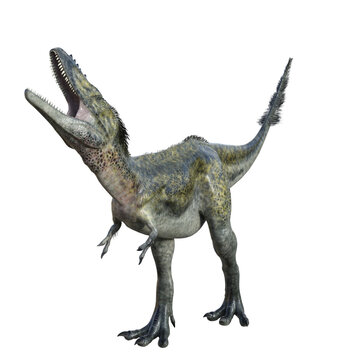 Alioramus isolated dinosaur 3d render