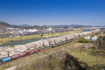 白石川堤一目千本桜とJR東北本線