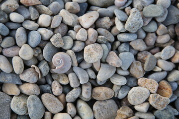 pebbles on a beach