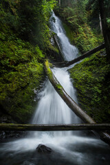 Fototapeta premium waterfall in the forest