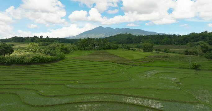 Aerial drone of farmland and agricultural fields at the foot of the volcano. Negros, Philippines