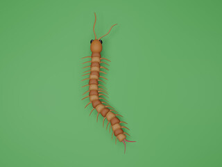 caterpillar on white background
