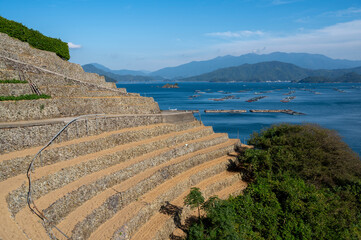 水荷浦の段々畑と宇和海