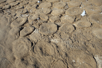 Circle ice formations in the sand, a Natural phenomena informally called ice pancakes