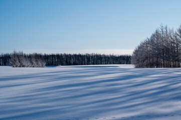 雪原と木々