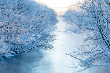 霧氷の木々と釧路川