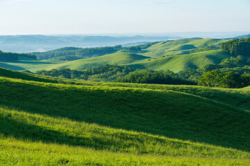 Fototapeta premium 初夏の根釧原野