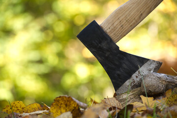 Hatchet or ax standing upright in a tree stump