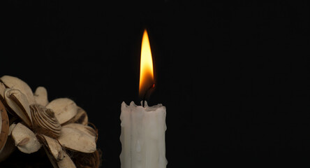 Burning wax candle and flowers against a black background