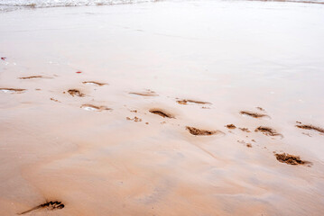 Close-up of footprints on empty beach sand