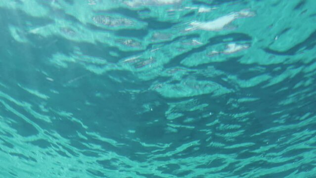 underwater view, shining and glittering on surface viewing from underwater.