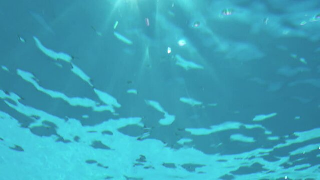 Underwater view, sun rays and shimmering surface seen from underwater.