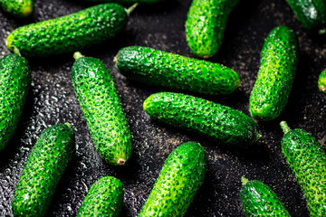 Ripe little cucumbers on the table. 