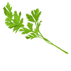 HERBS Health Food Store 