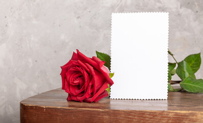 Red rose with white paper sheet for text on old rustic wooden table on light concrete wall backdrop