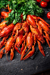 Boiled crayfish with parsley. On a black background.